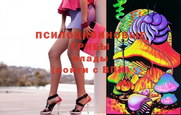 гидра Лабытнанги