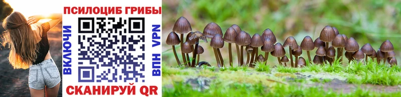 Галлюциногенные грибы мицелий  Шацк 