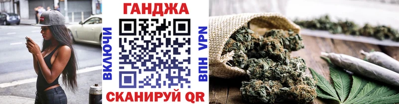 Конопля сатива  Шацк 